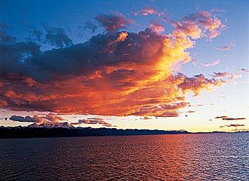 《零～红蝶～重制版》将在TGS 2025上放出实机演示