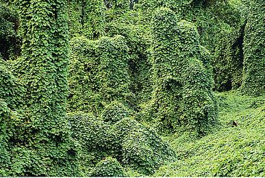 《我的幻想牧场》Steam页面上线 10月13日发售