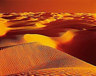 《零：濡鸦之巫女》中文翻译质量有问题 官方在调查